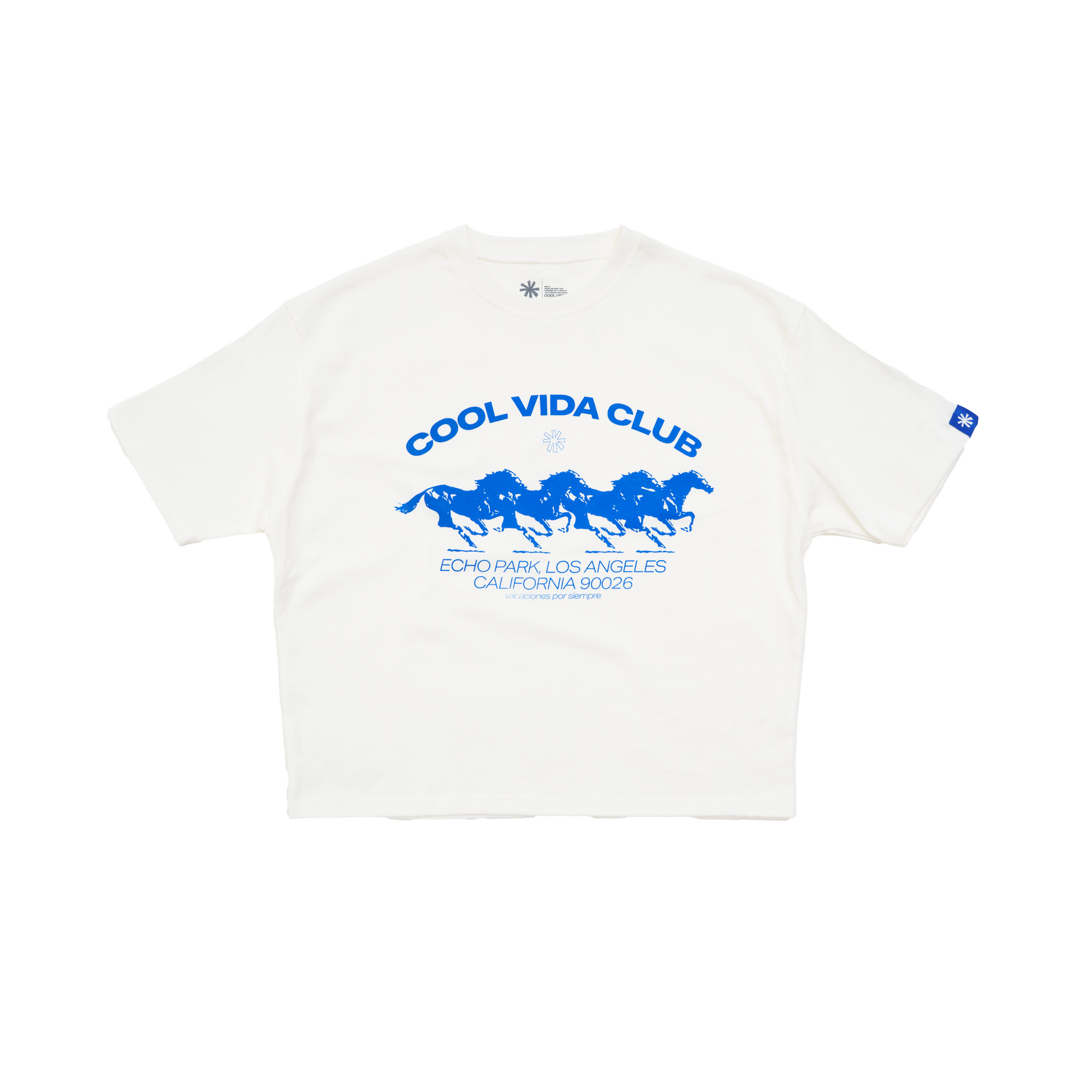 Horses