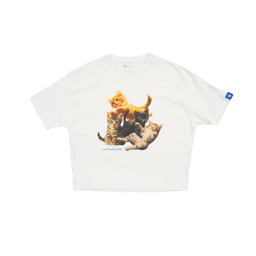 Kittens