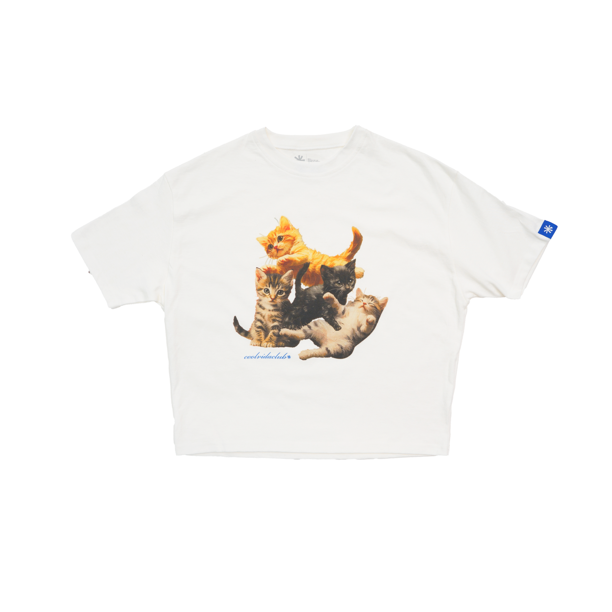 Kittens